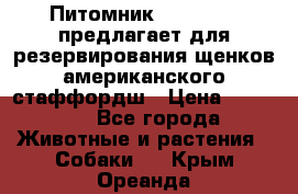 Питомник KURAT GRAD предлагает для резервирования щенков американского стаффордш › Цена ­ 25 000 - Все города Животные и растения » Собаки   . Крым,Ореанда